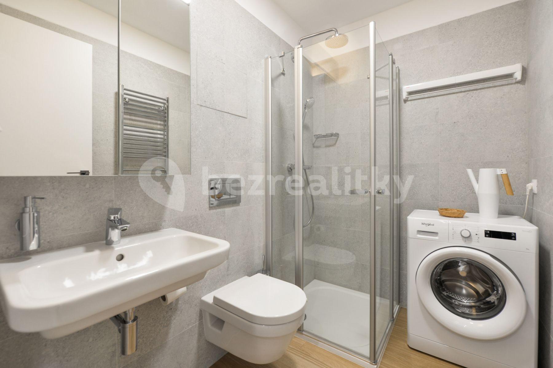 Studio flat to rent, 42 m², Krásova, Prague, Prague