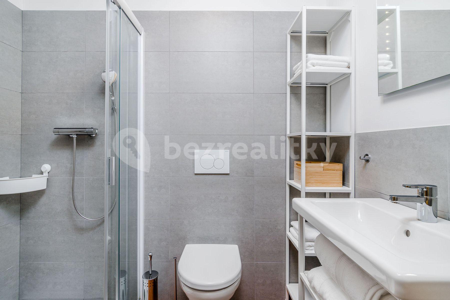 1 bedroom with open-plan kitchen flat to rent, 40 m², Na Zámecké, Prague, Prague