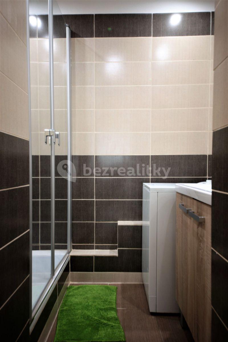 1 bedroom with open-plan kitchen flat to rent, 40 m², Rokycanova, Prague, Prague