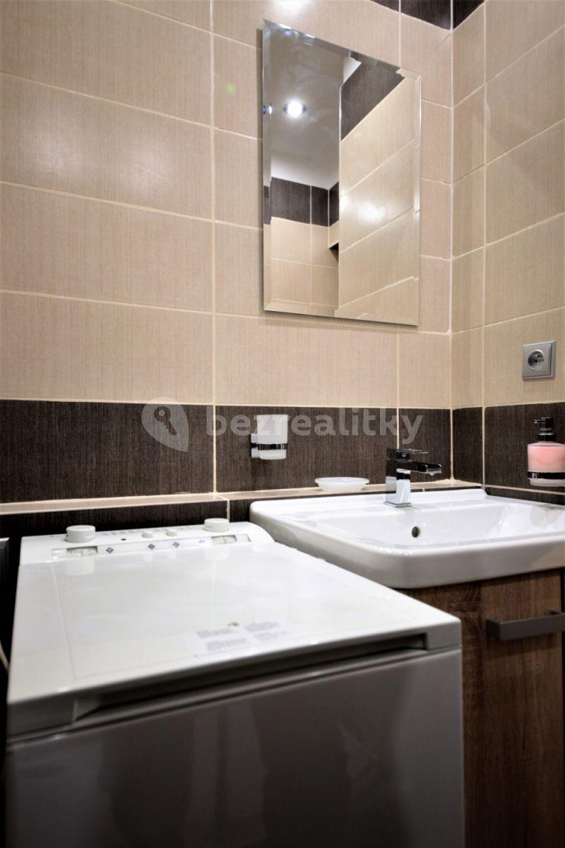 1 bedroom with open-plan kitchen flat to rent, 40 m², Rokycanova, Prague, Prague