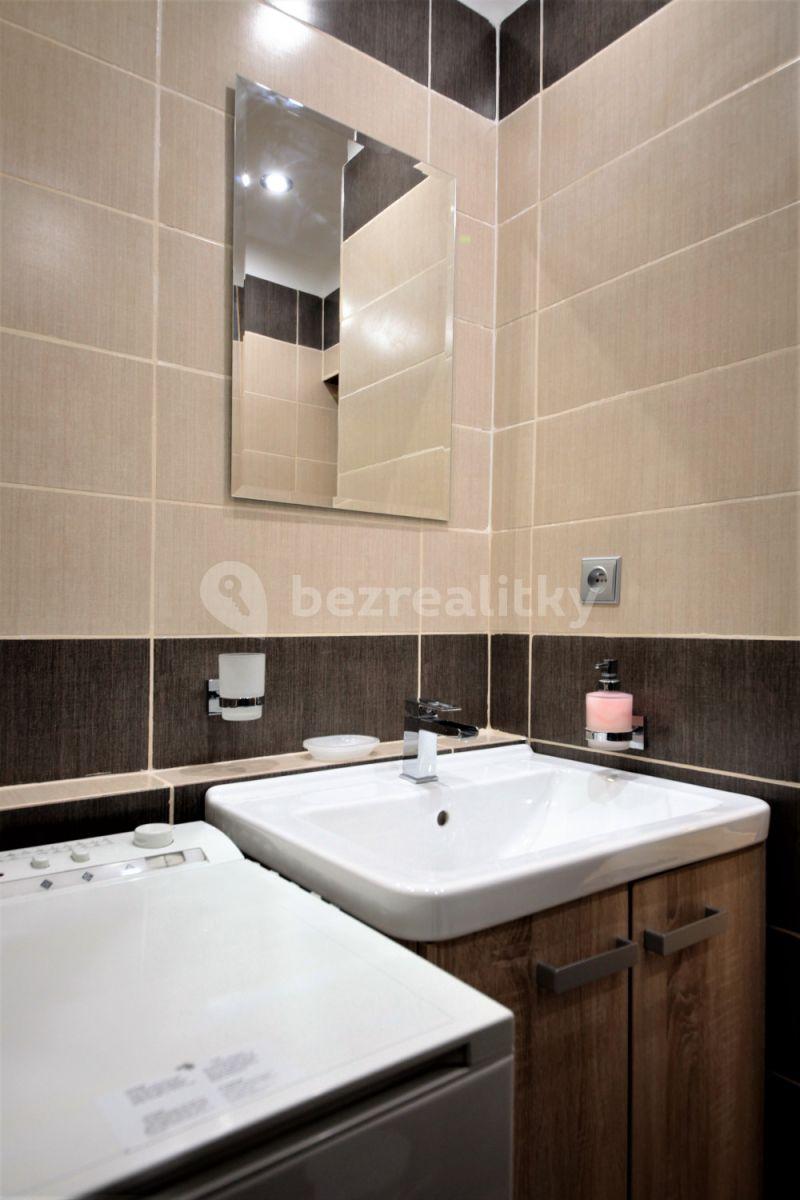 1 bedroom with open-plan kitchen flat to rent, 40 m², Rokycanova, Prague, Prague