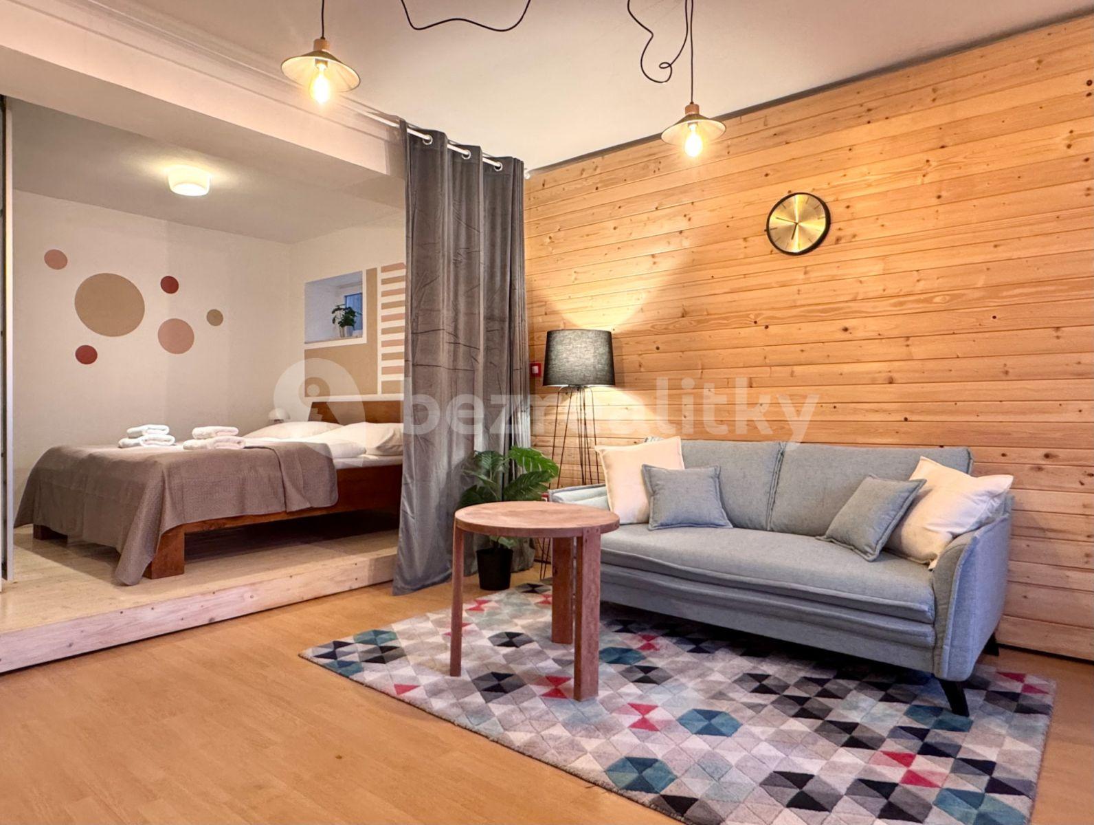 1 bedroom with open-plan kitchen flat to rent, 35 m², Na Okraji, Prague, Prague