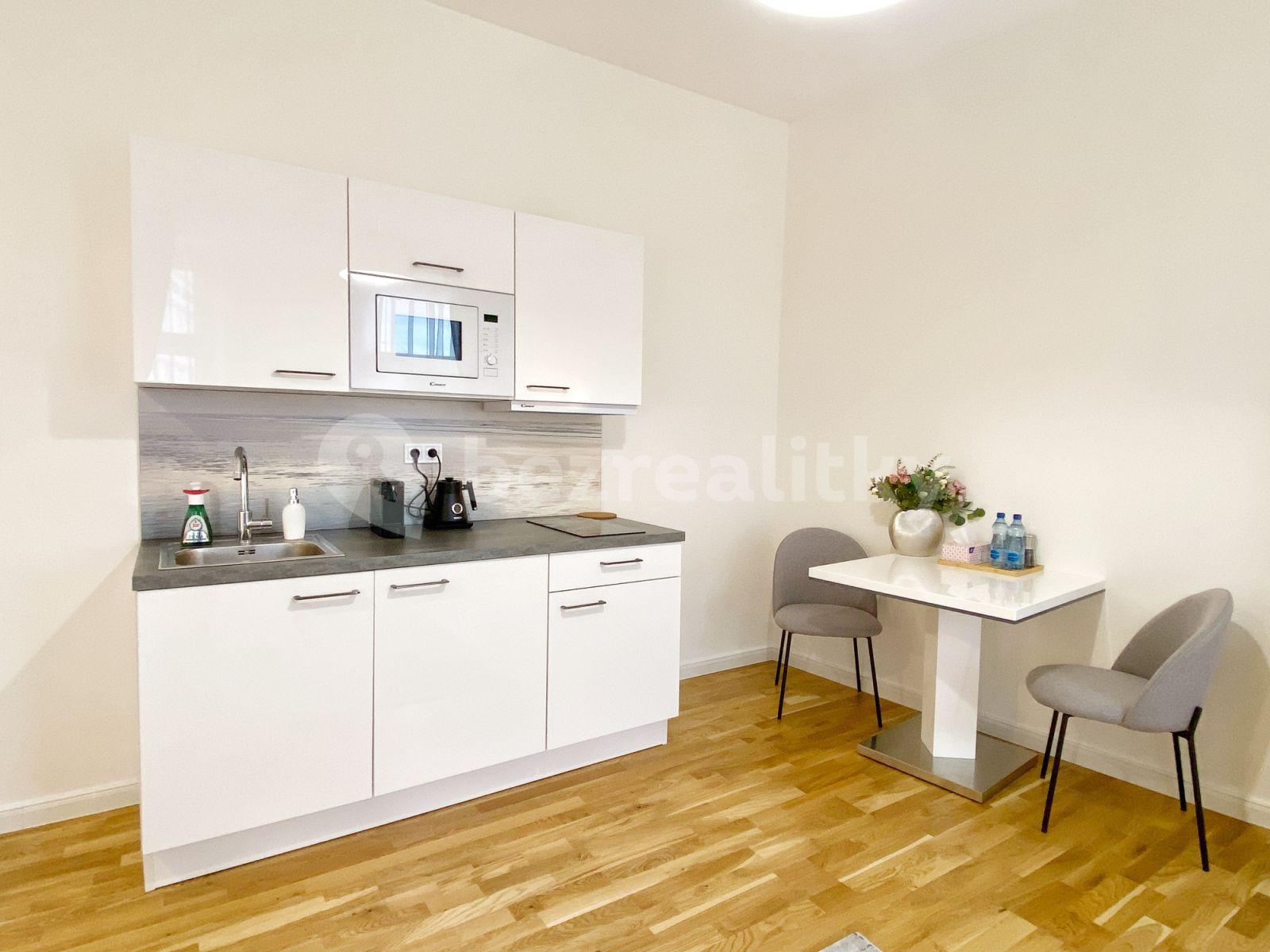 1 bedroom flat to rent, 40 m², Petrská, Prague, Prague