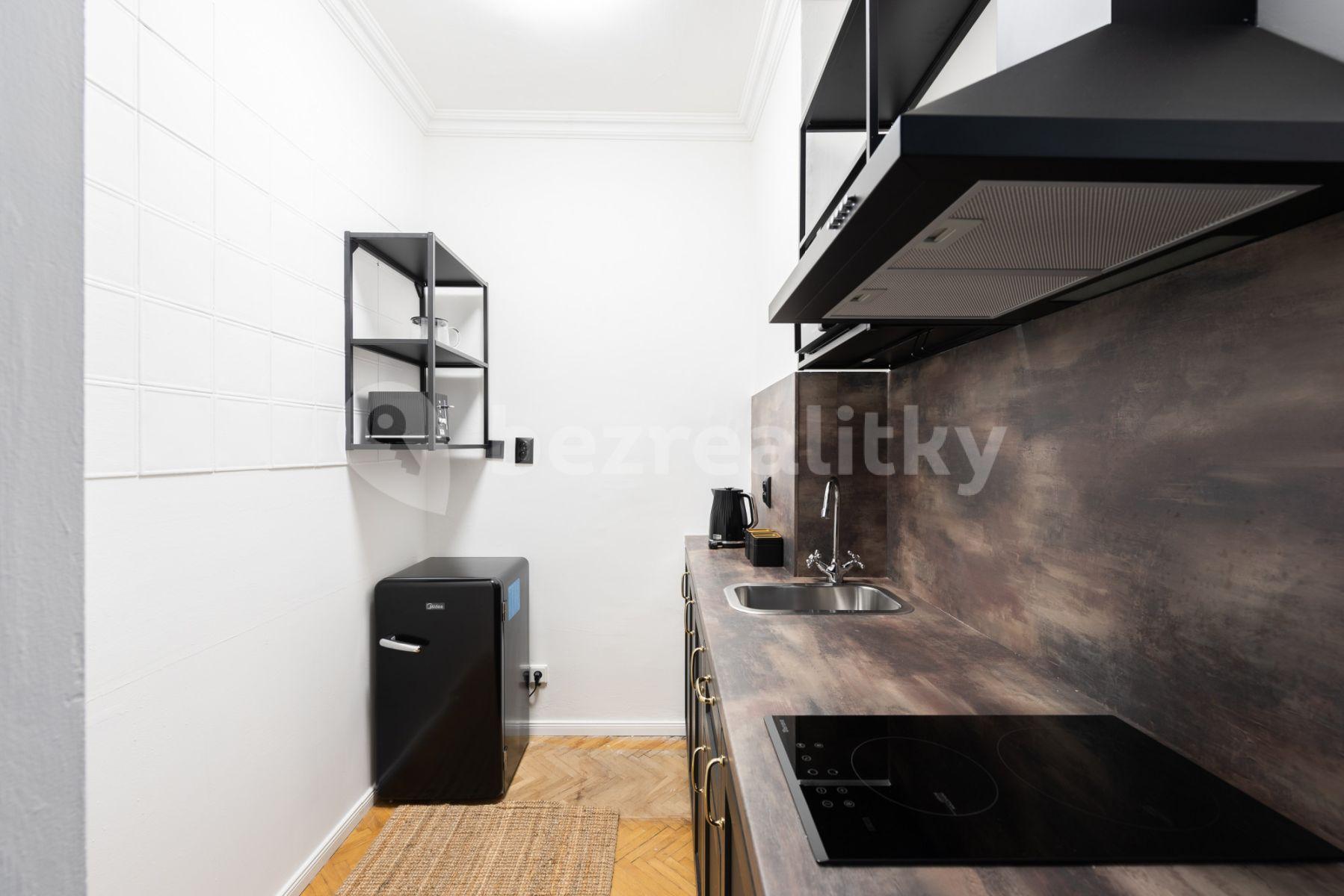 1 bedroom flat to rent, 28 m², Truhlářská, Prague, Prague