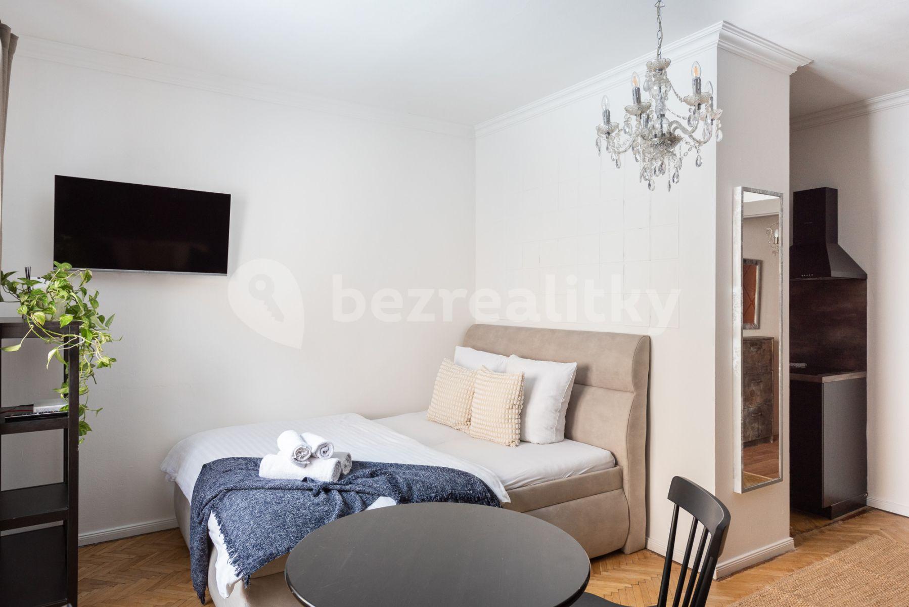 1 bedroom flat to rent, 28 m², Truhlářská, Prague, Prague