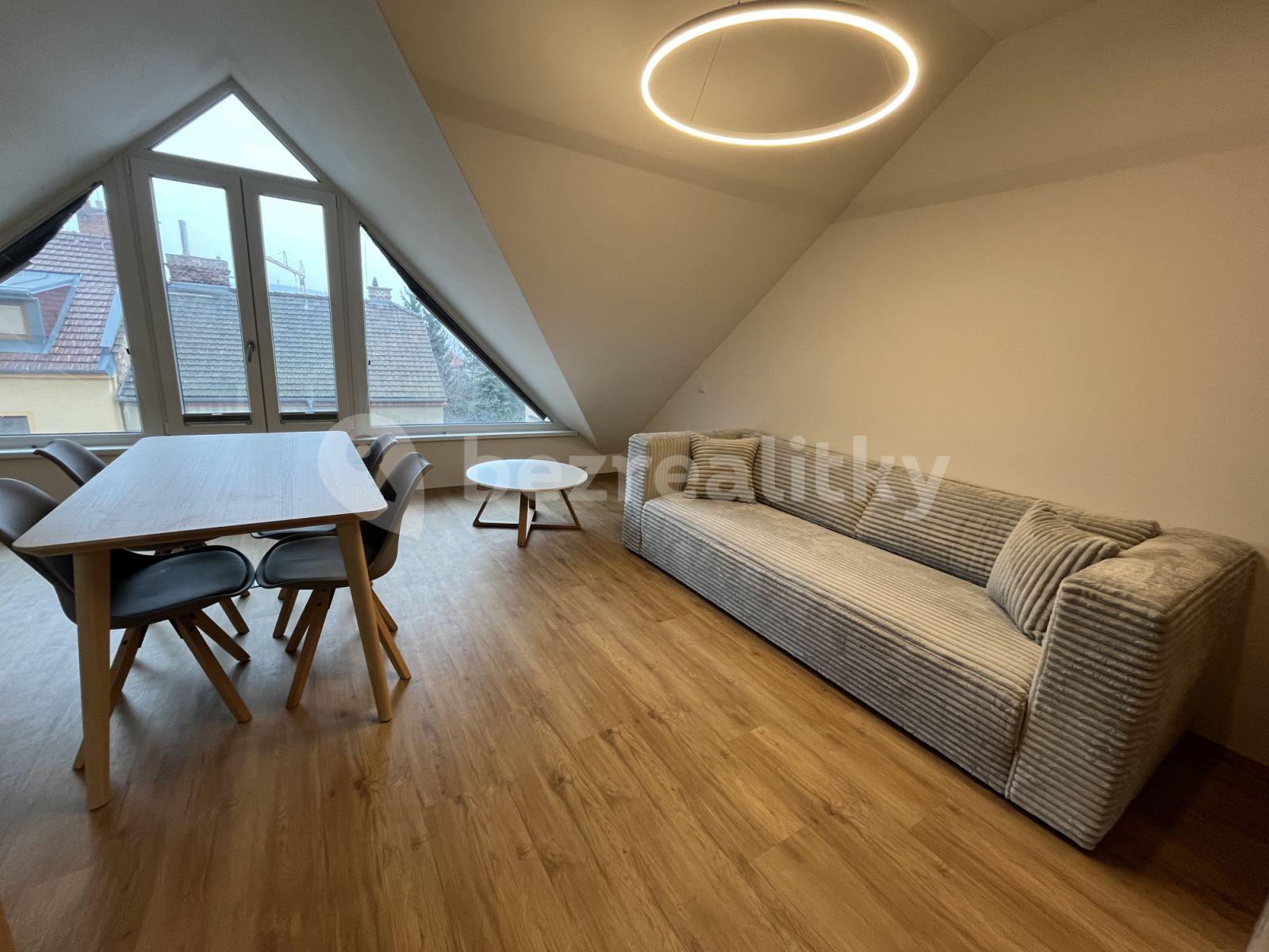 1 bedroom with open-plan kitchen flat to rent, 56 m², Tišnovská, Brno, Jihomoravský Region