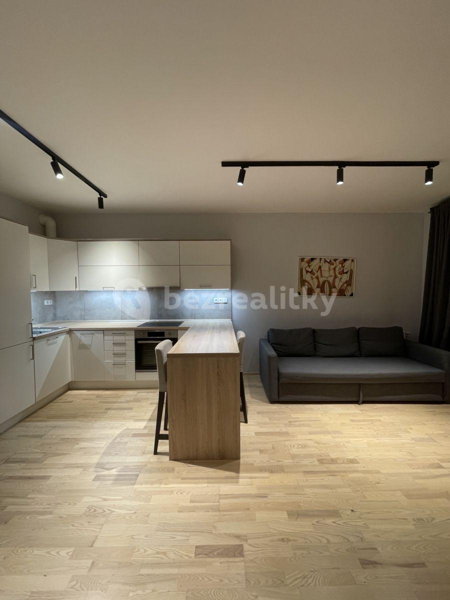 1 bedroom with open-plan kitchen flat to rent, 65 m², U mlýnského kanálu, Prague, Prague