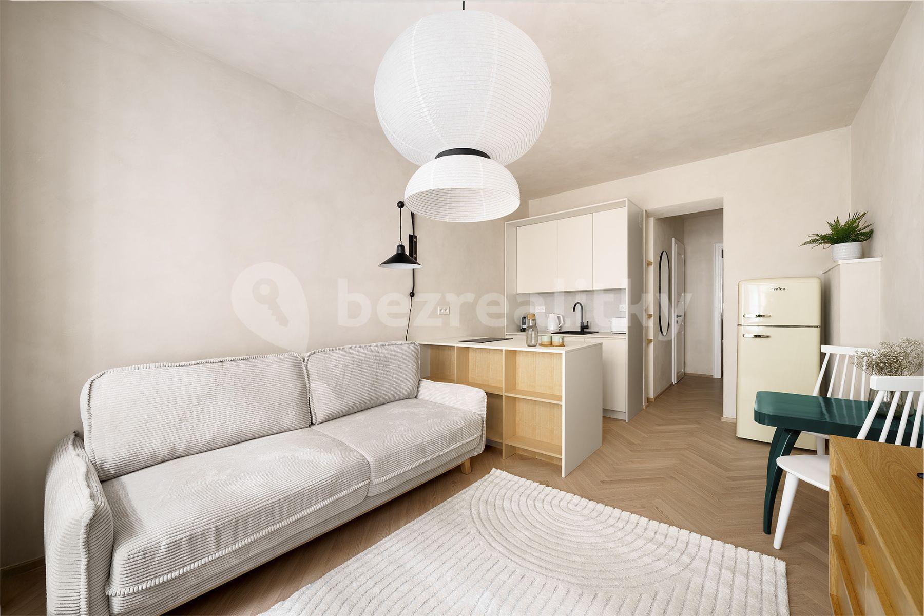 1 bedroom with open-plan kitchen flat to rent, 35 m², Sevastopolská, Prague, Prague