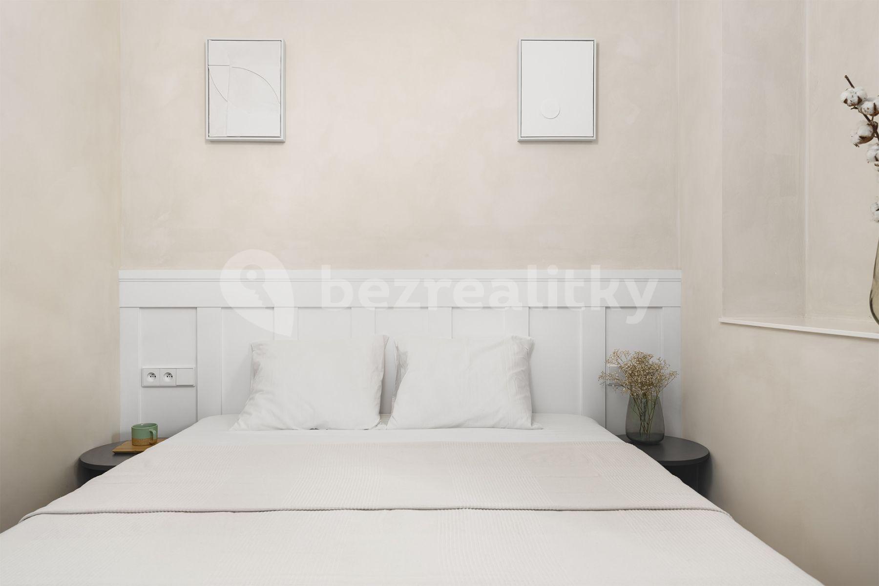 1 bedroom with open-plan kitchen flat to rent, 35 m², Sevastopolská, Prague, Prague