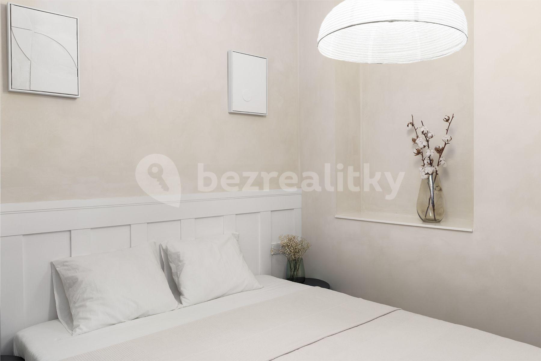 1 bedroom with open-plan kitchen flat to rent, 35 m², Sevastopolská, Prague, Prague