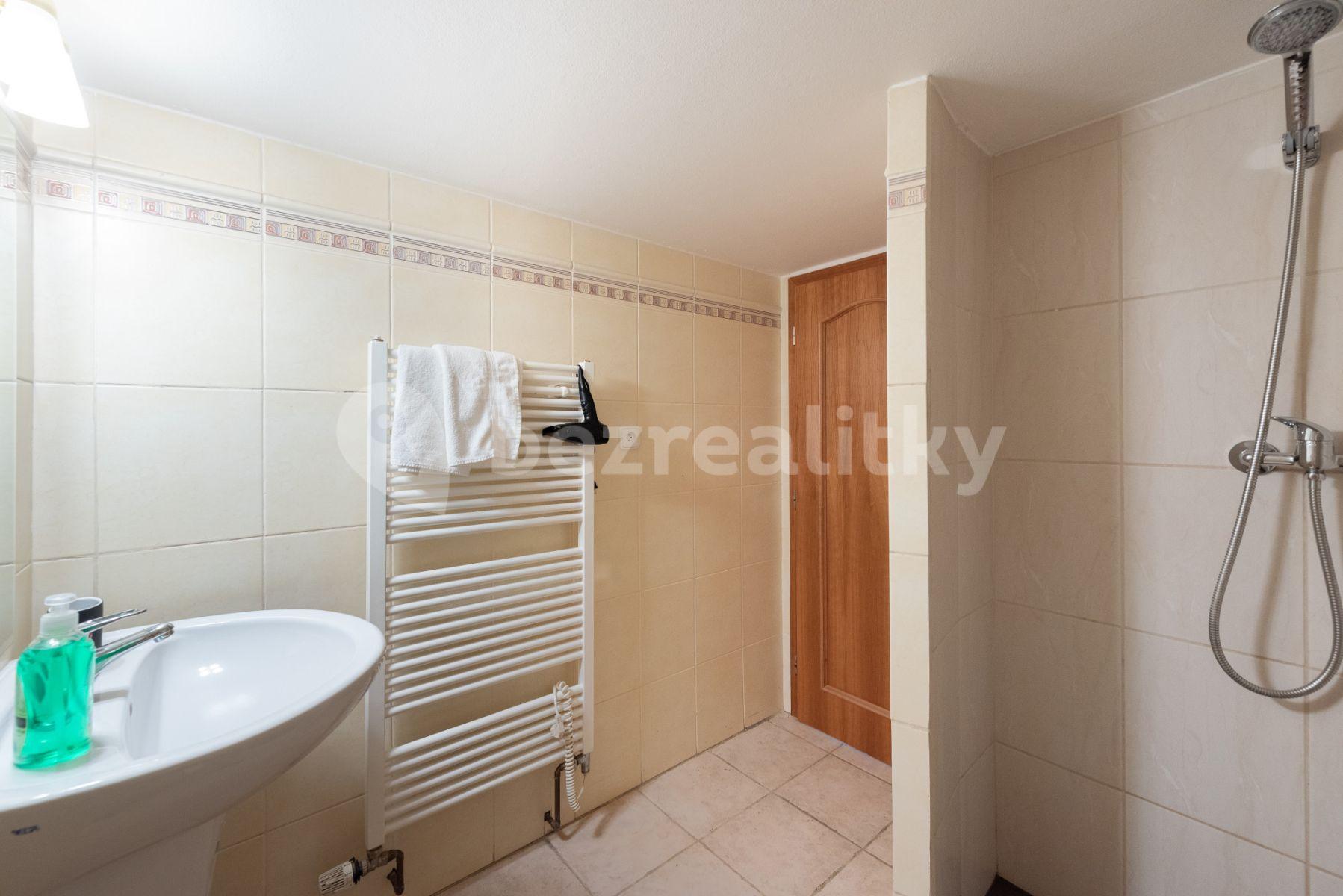 5 bedroom flat to rent, 150 m², Řeznická, Prague, Prague