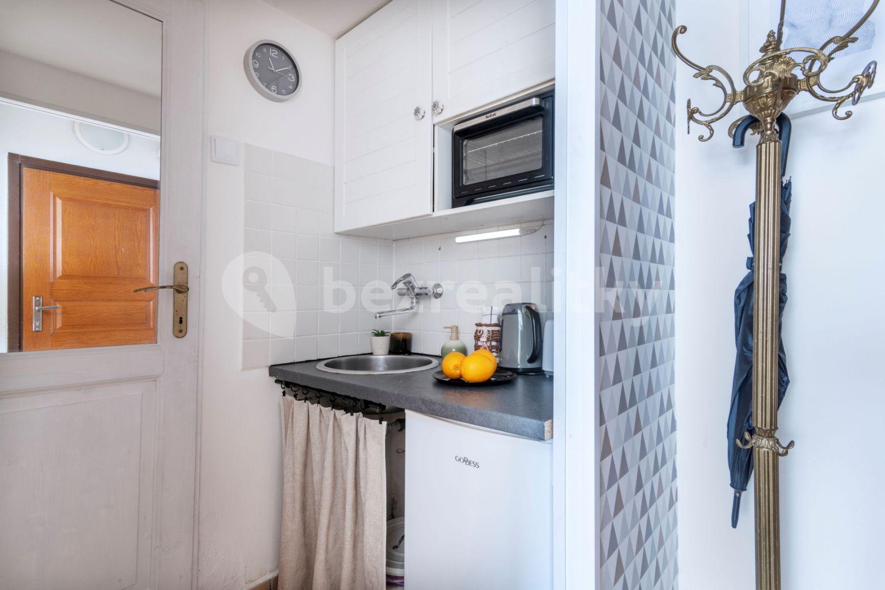 1 bedroom flat to rent, 25 m², Truhlářská, Prague, Prague