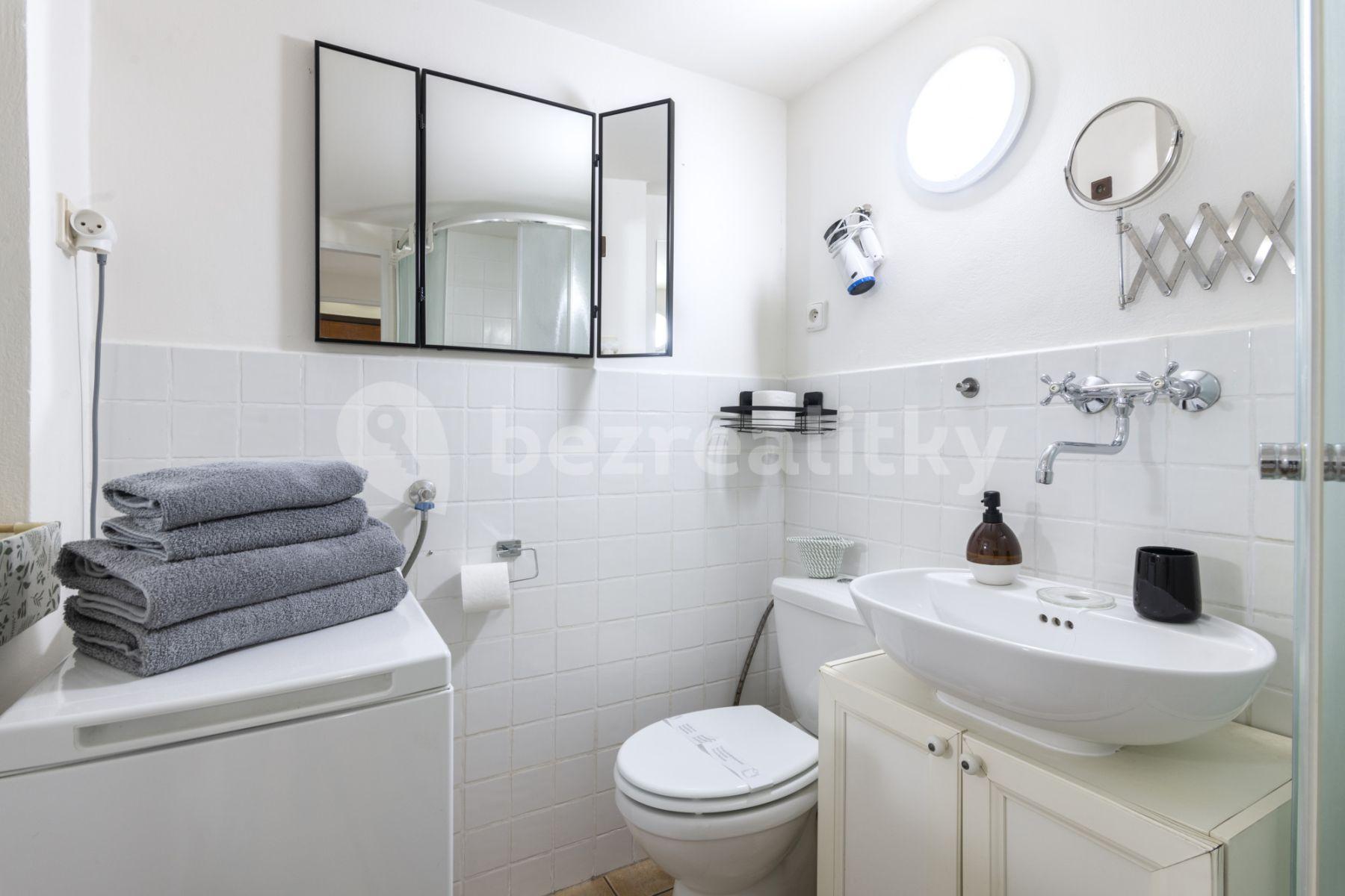 1 bedroom flat to rent, 25 m², Truhlářská, Prague, Prague