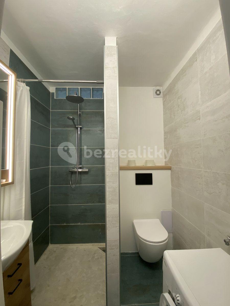 1 bedroom flat to rent, 26 m², Hrusická, Prague, Prague