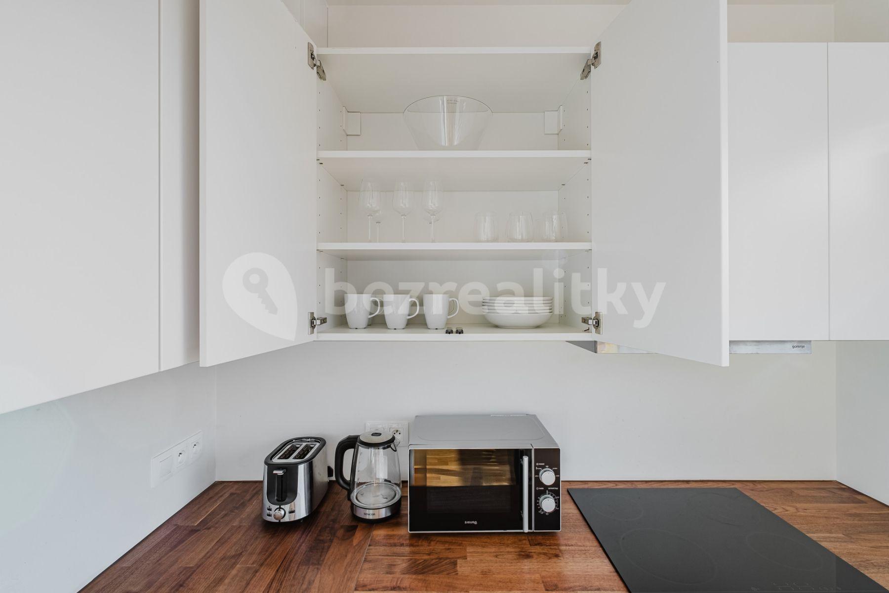 1 bedroom flat to rent, 40 m², Olgy Havlové, Prague, Prague