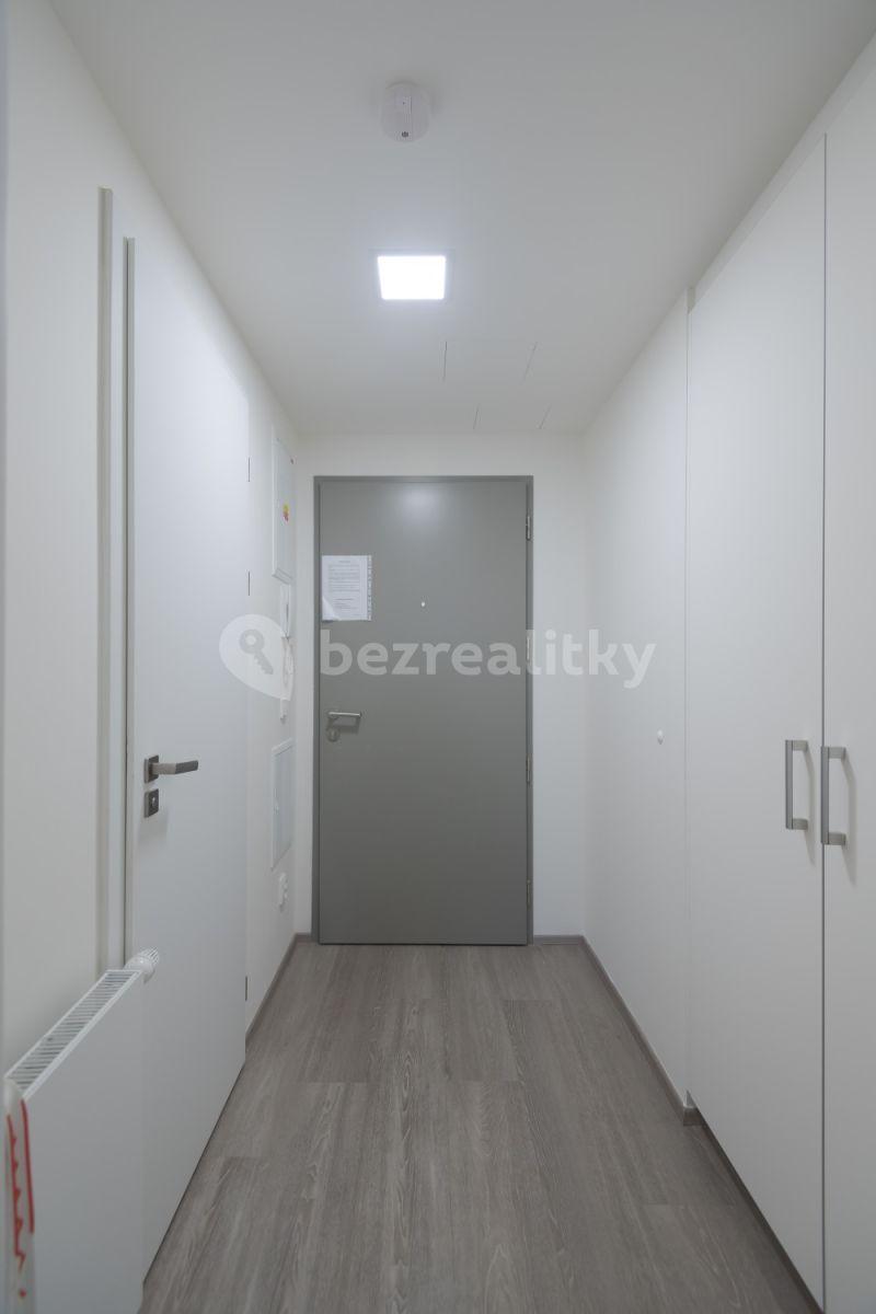 1 bedroom flat to rent, 35 m², Koněvova, Prague, Prague