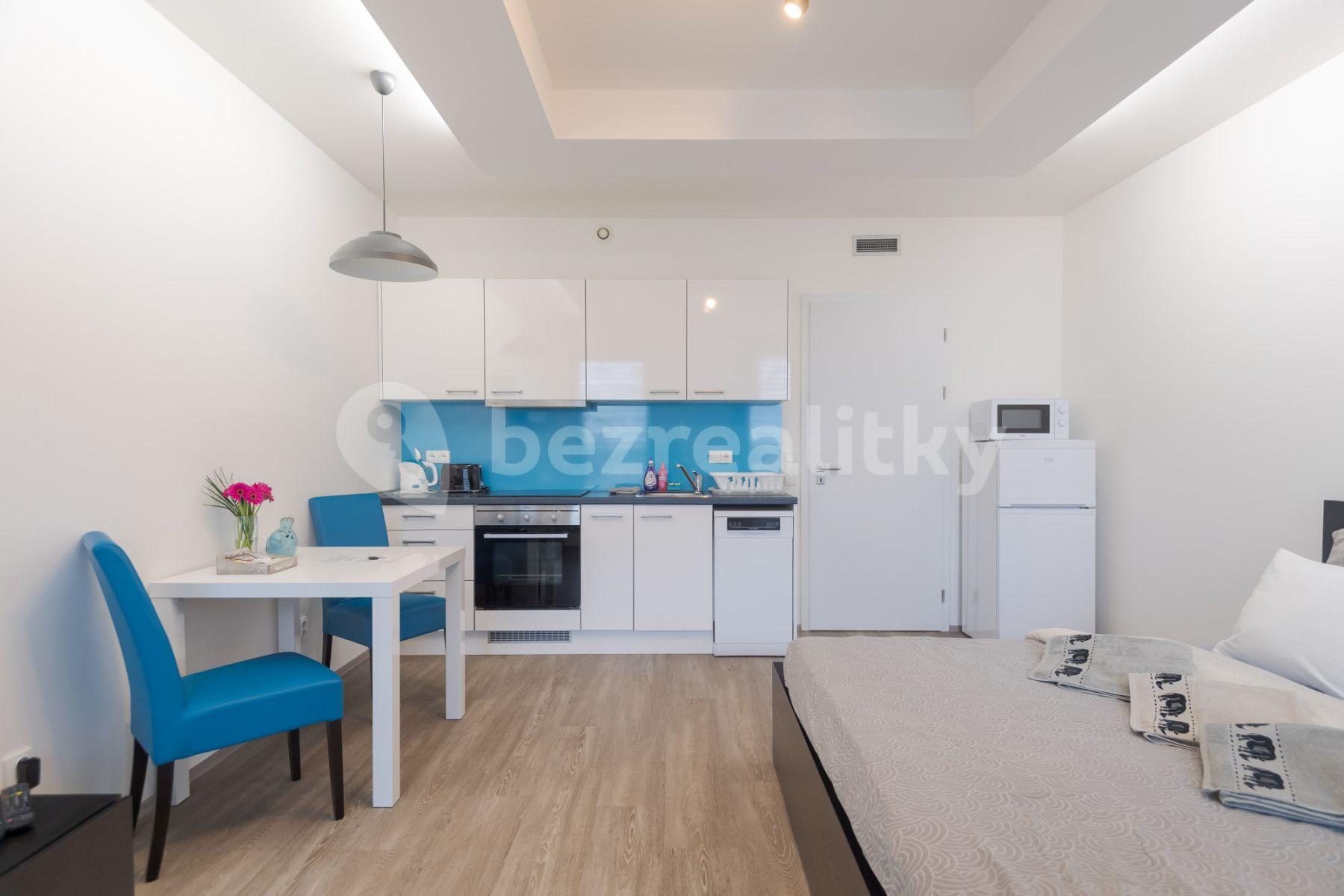 1 bedroom flat to rent, 35 m², Koněvova, Prague, Prague