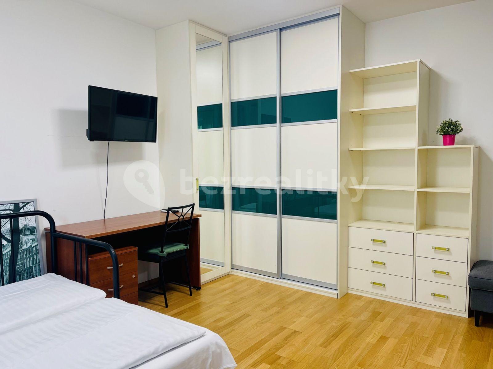 1 bedroom with open-plan kitchen flat to rent, 42 m², Olšanská, Prague, Prague