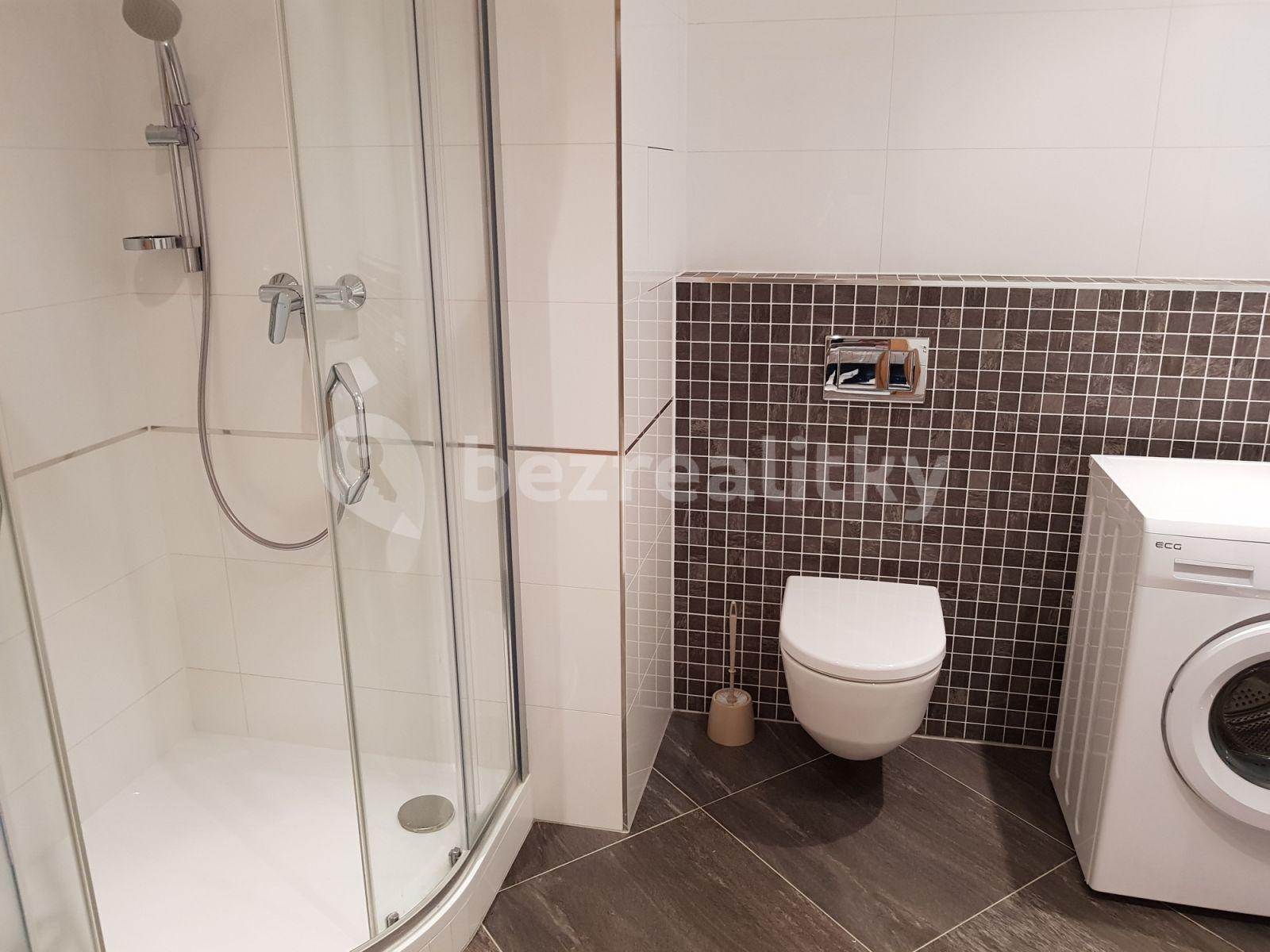 1 bedroom with open-plan kitchen flat to rent, 42 m², Olšanská, Prague, Prague