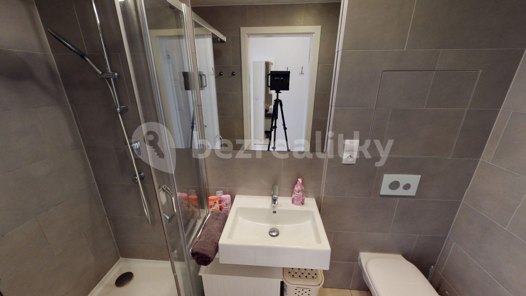 Studio flat to rent, 26 m², Kališnická, Prague, Prague