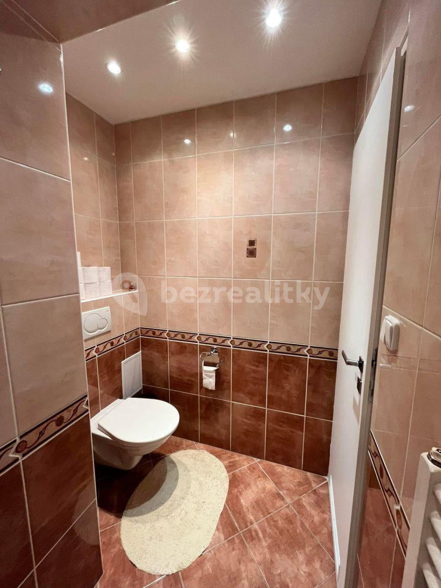 1 bedroom flat to rent, 25 m², Prague, Prague