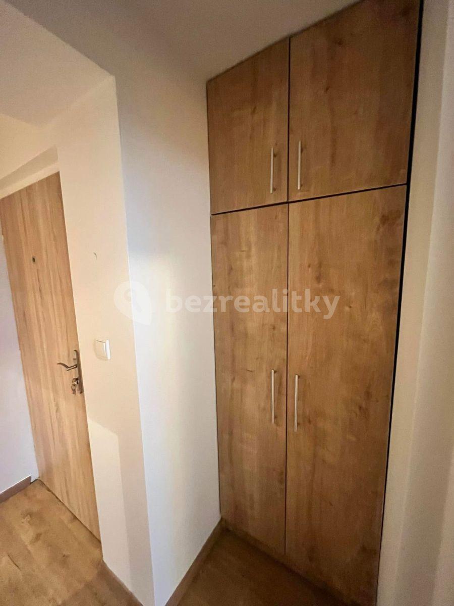 1 bedroom flat to rent, 25 m², Prague, Prague