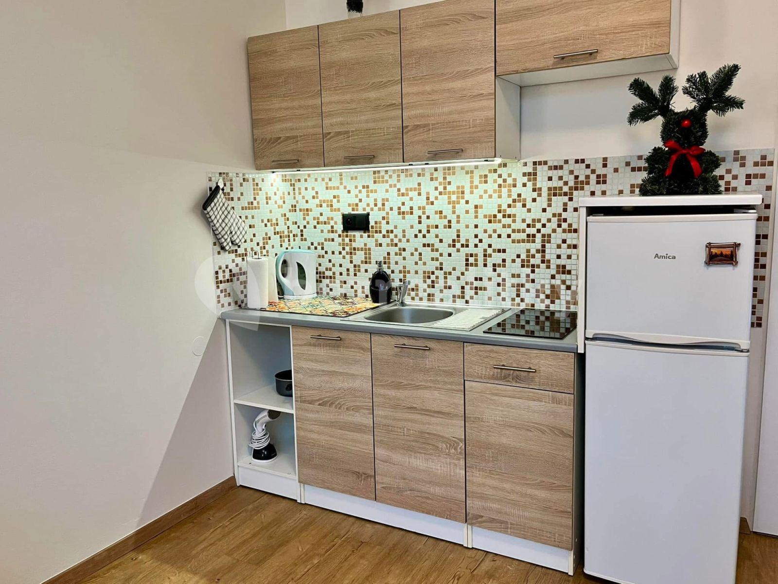 1 bedroom flat to rent, 25 m², Prague, Prague