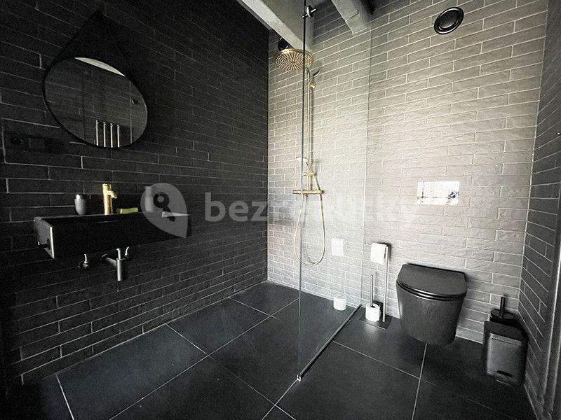 Studio flat to rent, 50 m², Prague, Prague