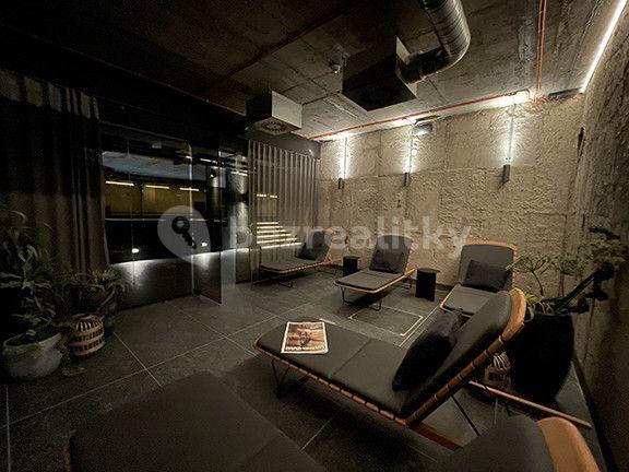 Studio flat to rent, 50 m², Prague, Prague