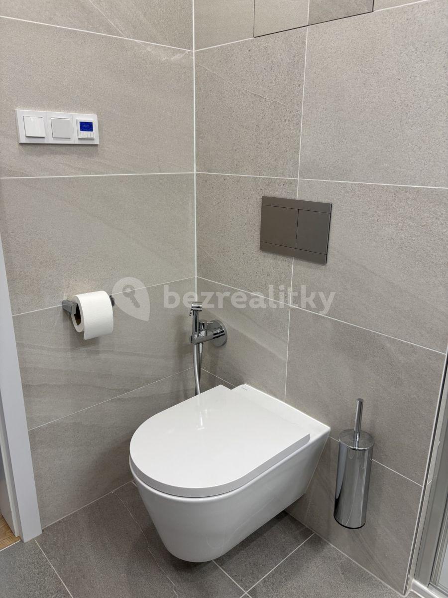 2 bedroom flat to rent, 41 m², Závišova, Prague, Prague