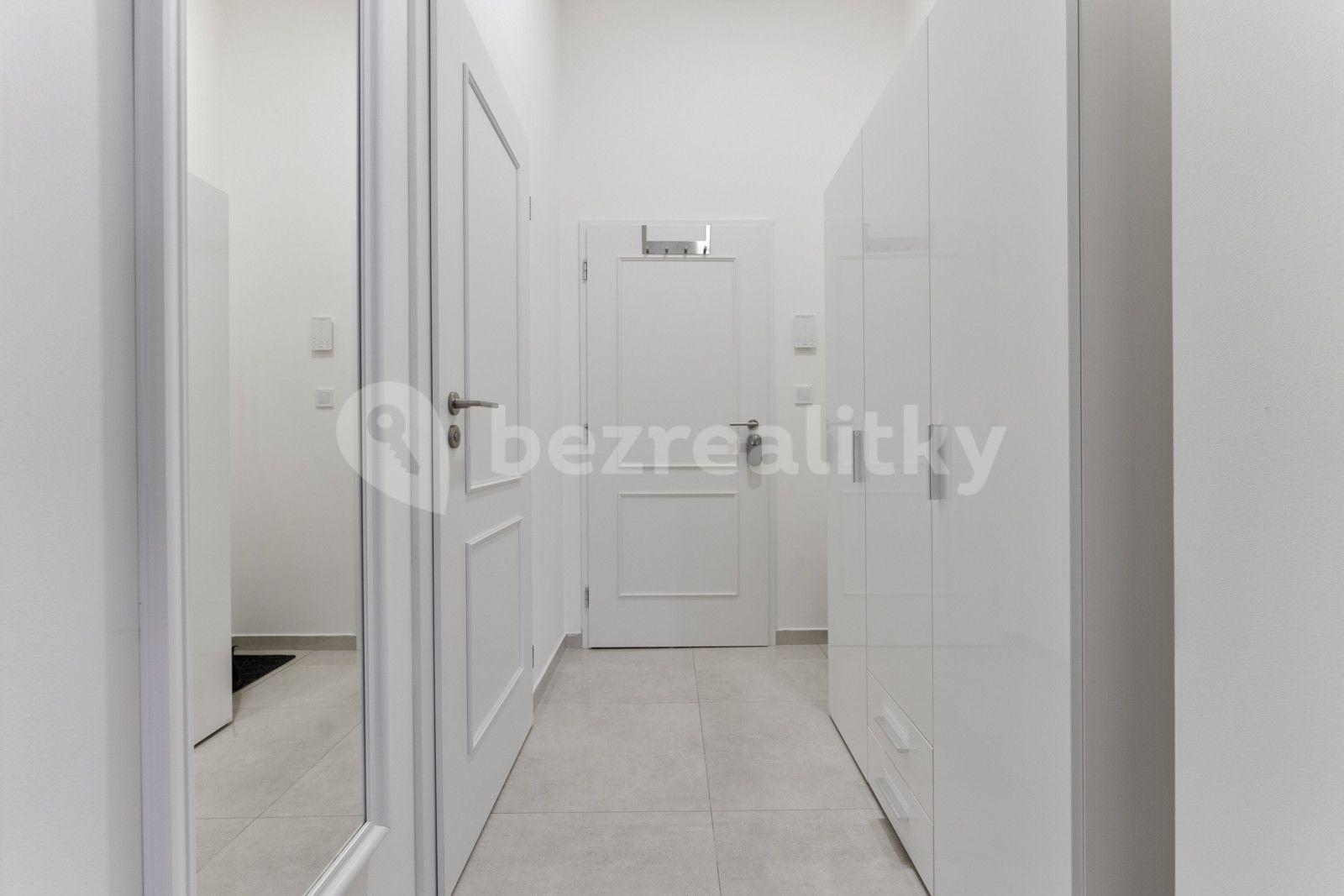 1 bedroom flat to rent, 30 m², Petrská, Prague, Prague