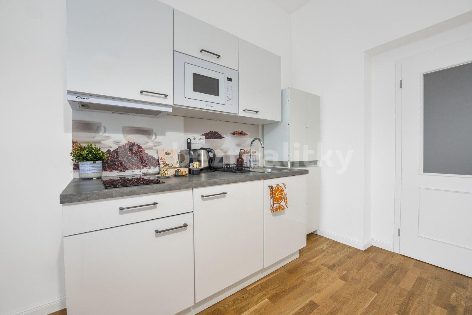 1 bedroom flat to rent, 30 m², Petrská, Prague, Prague