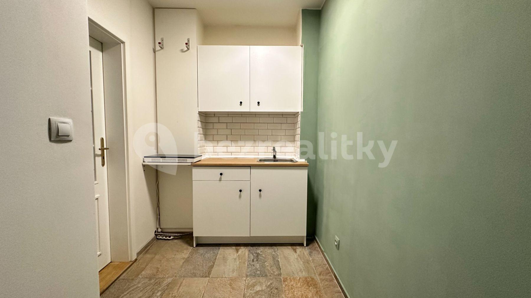 1 bedroom flat to rent, 13 m², Mánesova, Prague, Prague