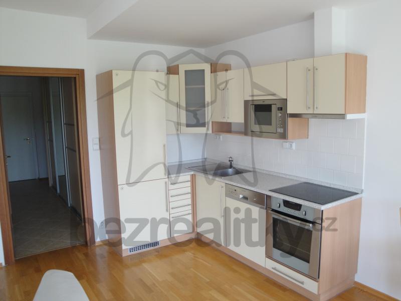 1 bedroom with open-plan kitchen flat to rent, 58 m², Podvinný mlýn, Prague, Prague