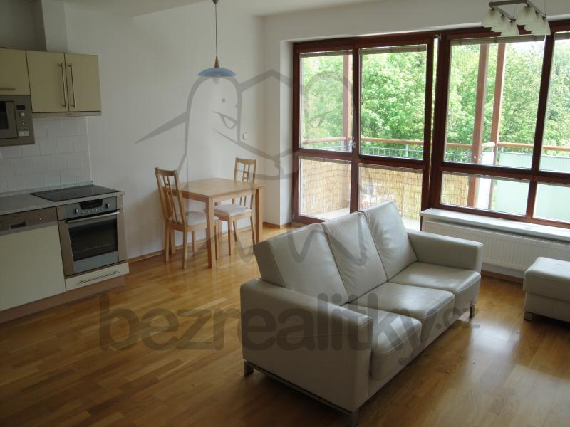 1 bedroom with open-plan kitchen flat to rent, 58 m², Podvinný mlýn, Prague, Prague