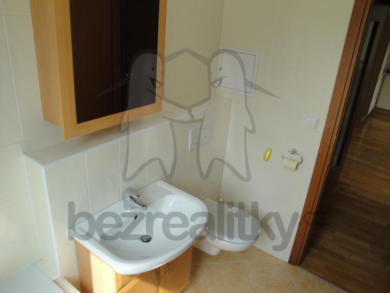 1 bedroom with open-plan kitchen flat to rent, 58 m², Podvinný mlýn, Prague, Prague