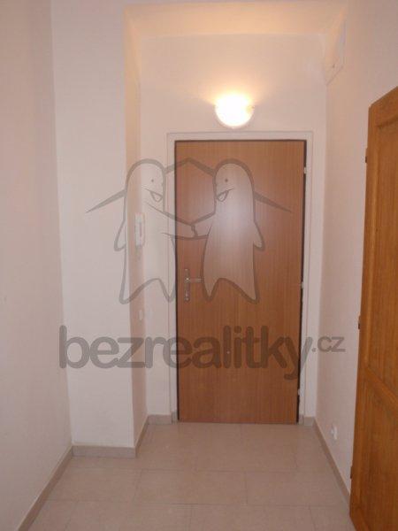 1 bedroom with open-plan kitchen flat to rent, 40 m², Nezamyslova, Prague, Prague