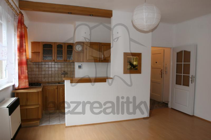 1 bedroom with open-plan kitchen flat to rent, 42 m², Nad Kajetánkou, Prague, Prague