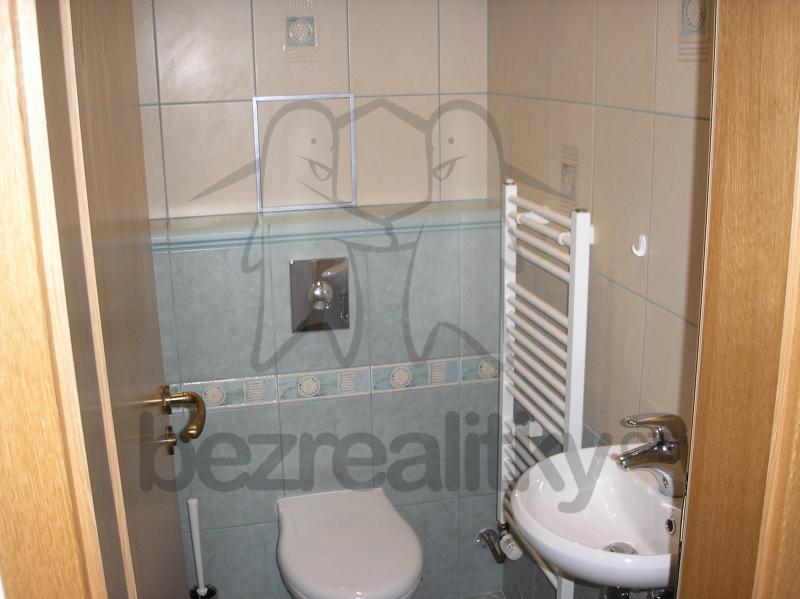 1 bedroom with open-plan kitchen flat to rent, 53 m², K Haltýři, Prague, Prague