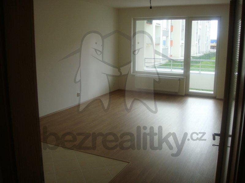 1 bedroom with open-plan kitchen flat to rent, 55 m², Sazovická, Prague, Prague