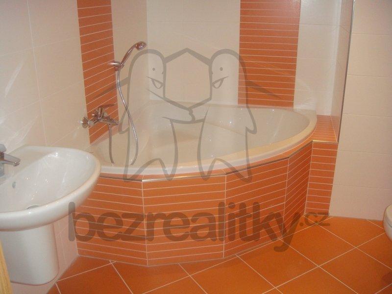 1 bedroom with open-plan kitchen flat to rent, 55 m², Sazovická, Prague, Prague