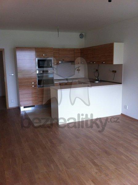 1 bedroom with open-plan kitchen flat to rent, 55 m², Sazovická, Prague, Prague