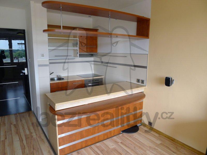 1 bedroom with open-plan kitchen flat to rent, 42 m², Vazovova, Prague, Prague