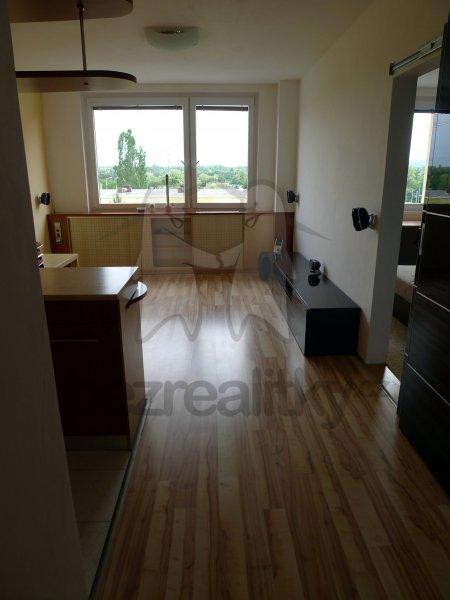 1 bedroom with open-plan kitchen flat to rent, 42 m², Vazovova, Prague, Prague