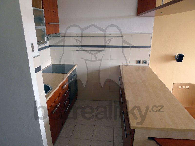 1 bedroom with open-plan kitchen flat to rent, 42 m², Vazovova, Prague, Prague