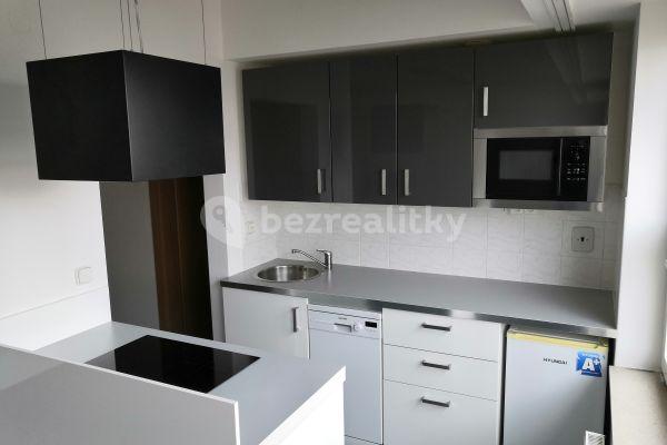 1 bedroom with open-plan kitchen flat to rent, 85 m², Příkop, 