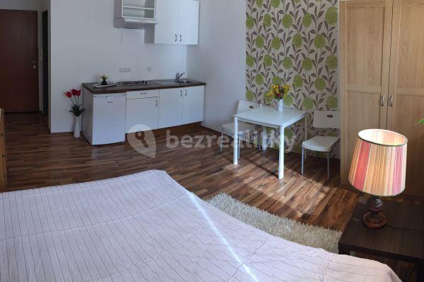 Studio flat to rent, 25 m², Provazníkova, 