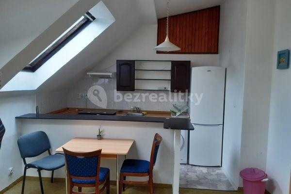 1 bedroom with open-plan kitchen flat to rent, 40 m², Za pavilónem, Praha