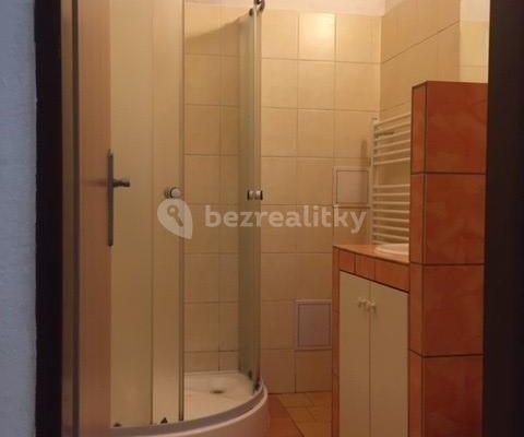 1 bedroom with open-plan kitchen flat to rent, 40 m², Radyňská, Plzeň, Plzeňský Region