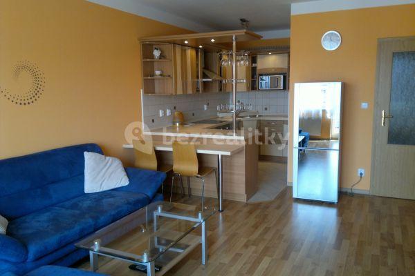 1 bedroom with open-plan kitchen flat to rent, 55 m², Půdova, 